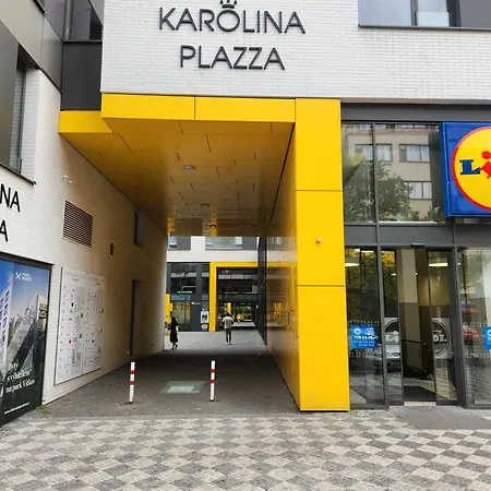 Cozy With Big Terrace In - Karlin